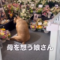思い出に浸る一幕も