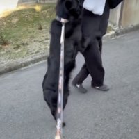 「おかえり！おかえりっ！」