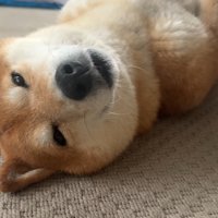 一瞬だけ起きて、再び爆睡