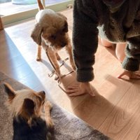 遊び方が分からないイオくん