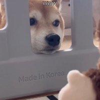 微動だにせず。