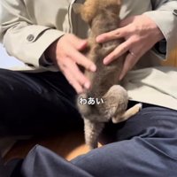 パパから離れない