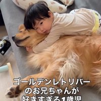 ピノくんに抱きつく息子さん