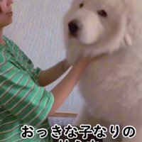 とても甘えん坊