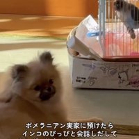 ほのぼの空間…