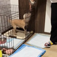 喜ぶモカちゃん