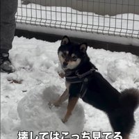 またカメラ目線の千幸ちゃん