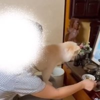 膝の上に乗るポポちゃん
