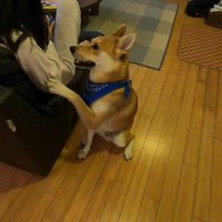 「もっと慰めて」とアピール