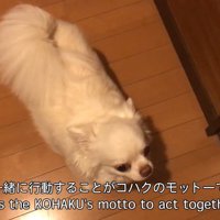 許してくれたようです♡