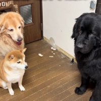 壁を破壊したのは誰？