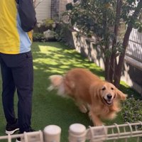 そら君とブリーダーさんの再会7