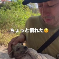 少しだけ心を開いてくれた