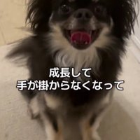 大きくなった今は…