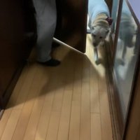 歓喜の声を上げながら登場！