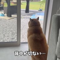 じっと待つ姿にキュン♡