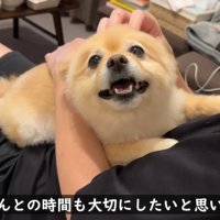 可愛い姿にキュン♡