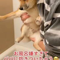 手足を広げるまろ君