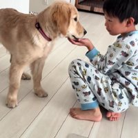 息子さんが目覚めると…