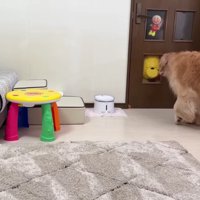 ぬいぐるみが戻ってきた！