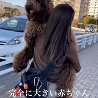 駄々をこねた結果