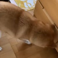 落とす
