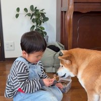 いとちゃんの成長記録7