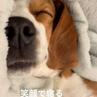 キャラクターみたいにニッコリ