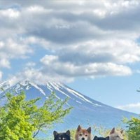 富士山