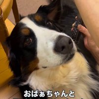 おばあちゃんと電話中
