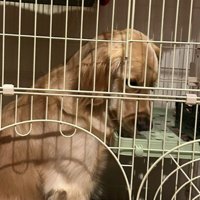 思ってたのと違う…