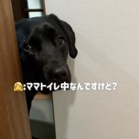 「そうなの？」