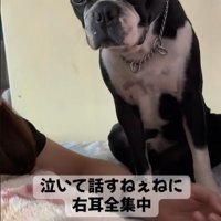 ママさんが「おいで」と呼んでも…