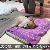 「お風呂行ってくるね」