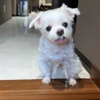 「また早く会えるといいな～♪」