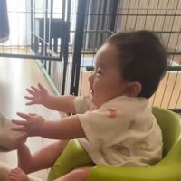 テレビを見ている赤ちゃん