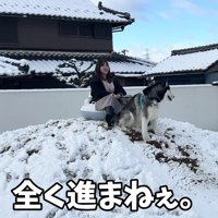 犬ゾリの本能が発動…！？