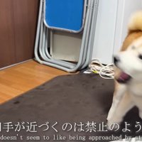 「近づかないで！！」