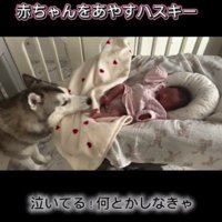 赤ちゃんが泣いてる…