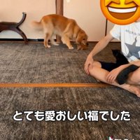歩くよう促す福ちゃん