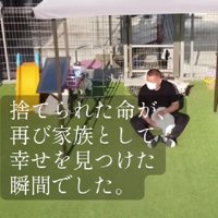 幸せになったわんこたち
