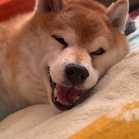 お姉ちゃんとの再会にニコニコ♪