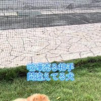 なぜか誇らしげ！！