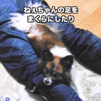 一緒に成長してきました