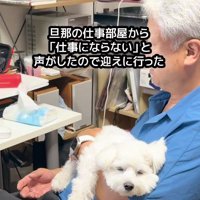 すっかりリラックス…