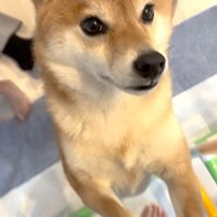 愛情と優しさにほっこり♡