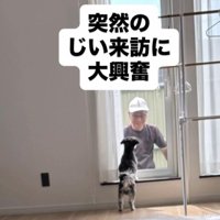 ニウちゃんとおじいちゃん7
