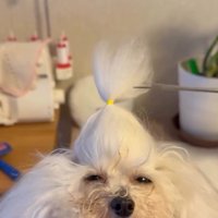目を細める糸ちゃん