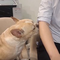 交渉は続きます…！