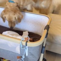 優しさ100％のマックくん